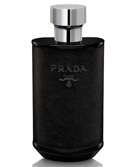 prada l'homme macys|is prada l'homme long lasting.